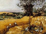 BRUEGEL, Pieter the Elder, The Harvesters gf